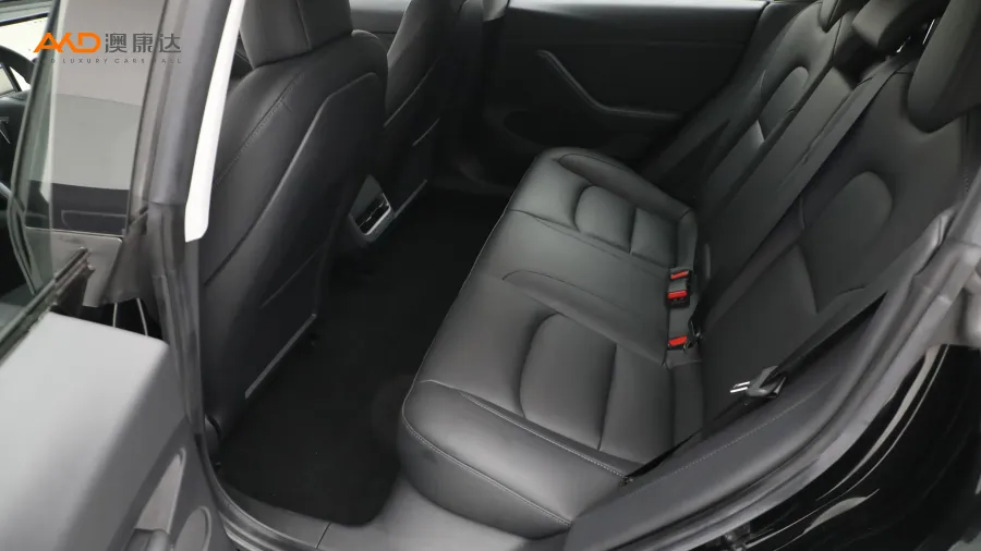 二手特斯拉Model 3 标准续航后驱升级版图片3896097