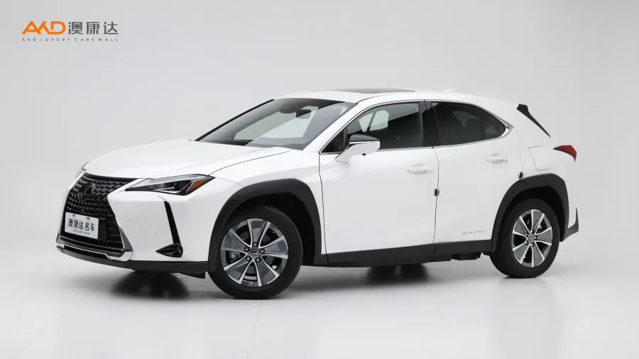 二手雷克萨斯UX300e  纯·享版图片