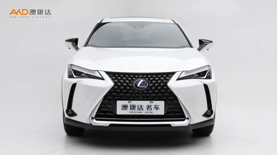 二手雷克萨斯UX300e  纯·享版图片3909638