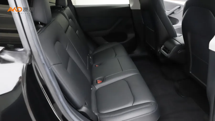 二手特斯拉Model Y 后轮驱动版图片3908981