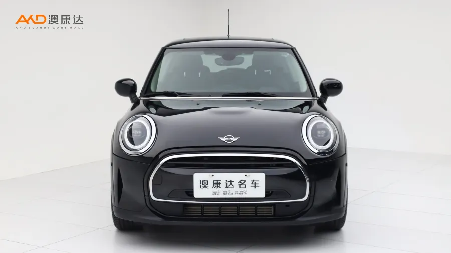 二手Mini COOPER 艺术家图片3910174
