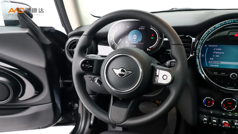 二手Mini COOPER 艺术家图片3910191