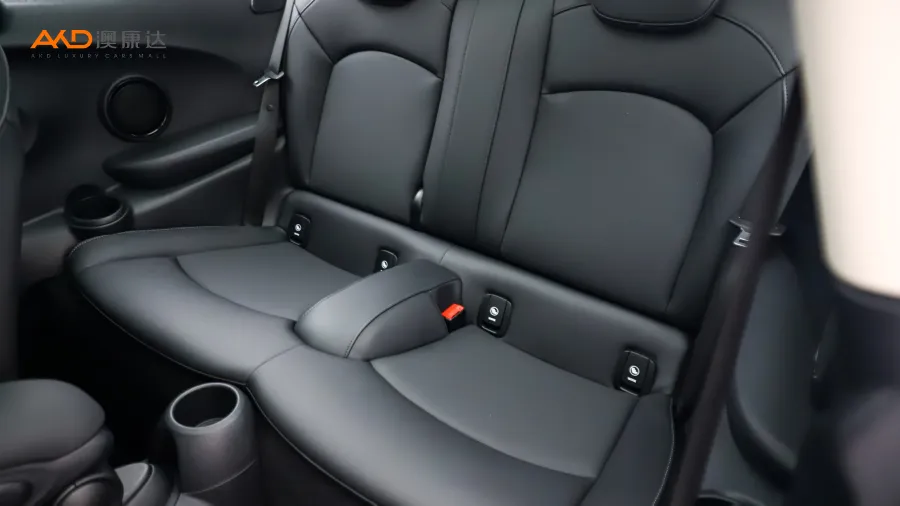 二手Mini COOPER 艺术家图片3910189