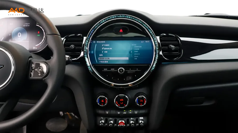 二手Mini COOPER 艺术家图片3910192