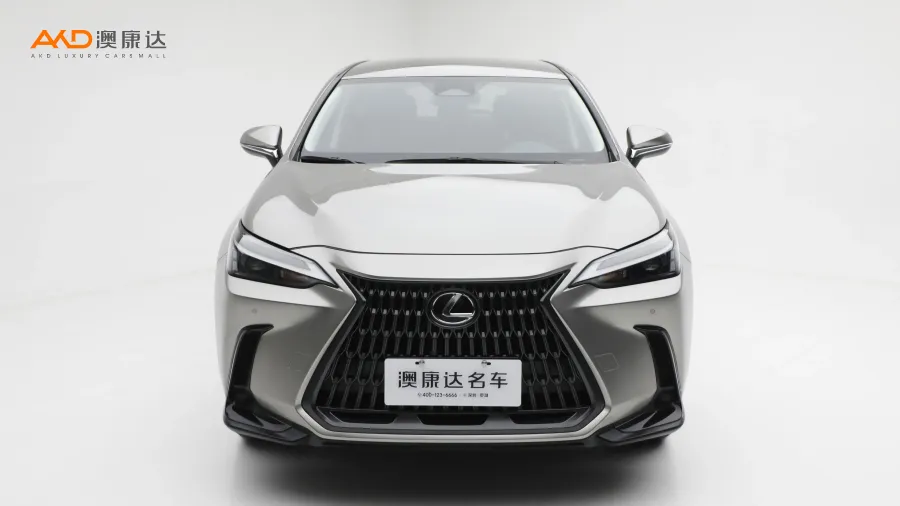 二手雷克萨斯NX260  前驱创驰版图片3912508