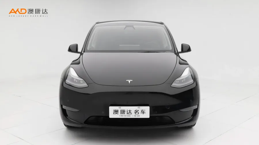 二手特斯拉Model Y 标准续航后驱版图片3916142