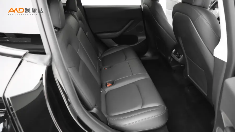 二手特斯拉Model Y 标准续航后驱版图片3916141