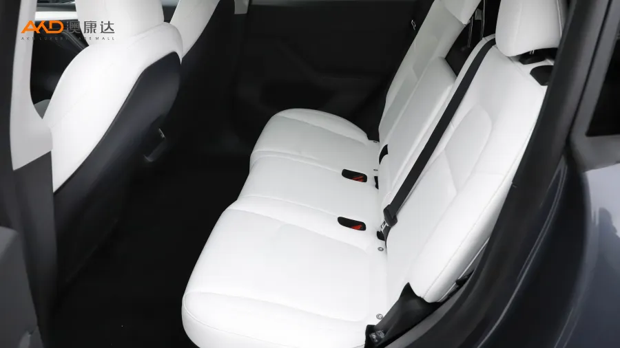 二手特斯拉Model Y 改款 长续航全轮驱动版图片3921274