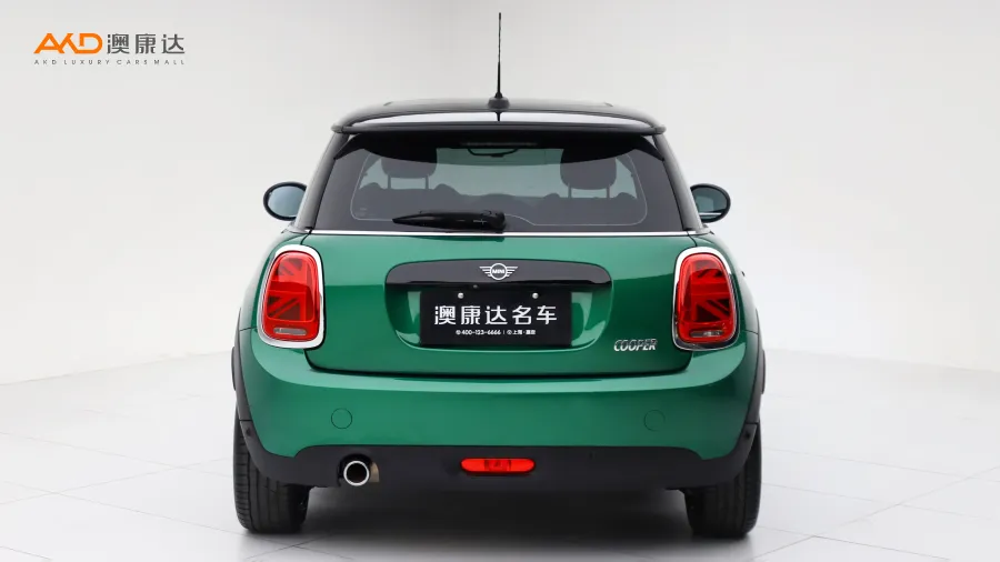 二手Mini COOPER 艺术家图片3923576