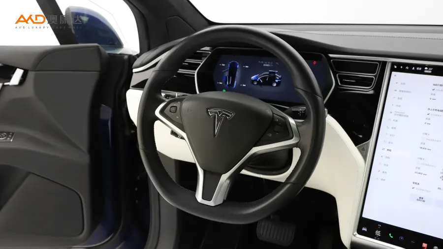 二手特斯拉Model X 100D 长续航版图片3925997