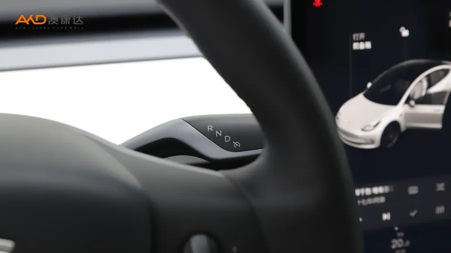 二手特斯拉Model 3  Performance高性能全轮驱动版图片3928876