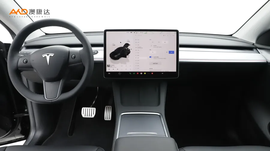 二手特斯拉Model Y Performance高性能全轮驱动版图片3930172