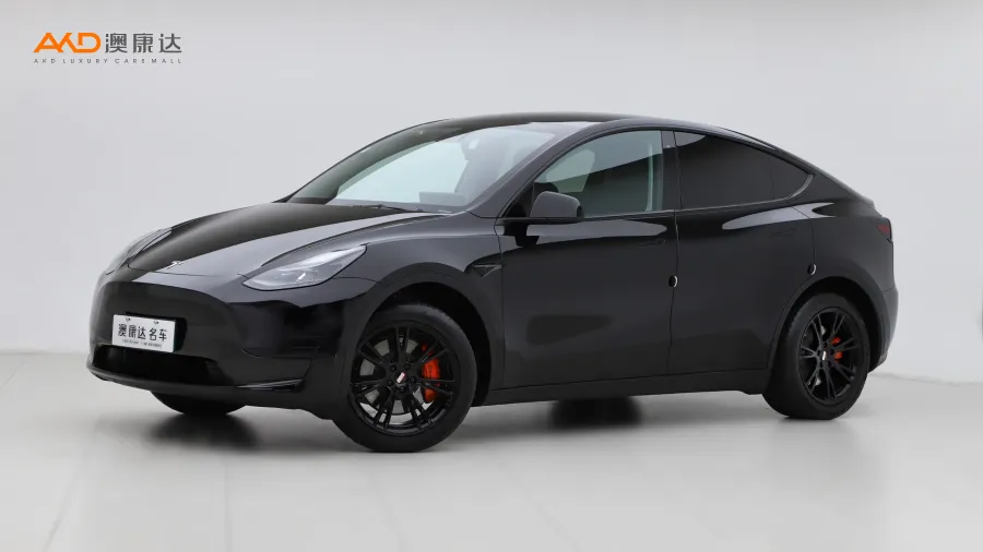 二手特斯拉Model Y 改款 后轮驱动版图片