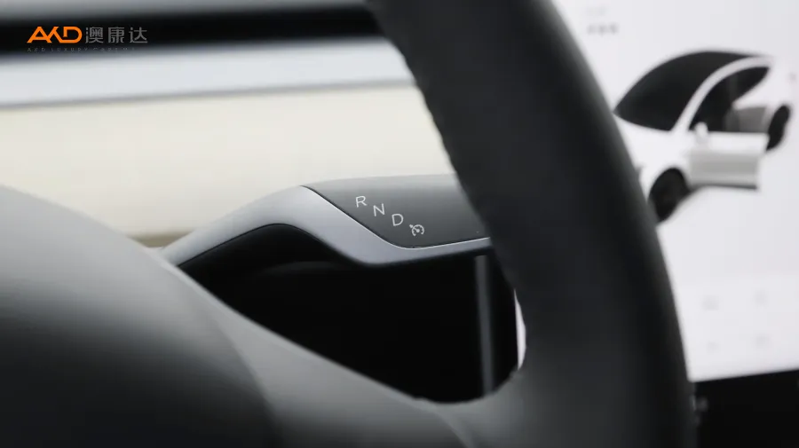 二手特斯拉Model Y 长续航全轮驱动版图片3934260