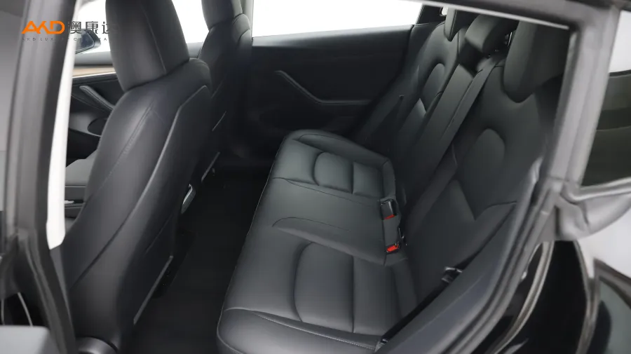 二手特斯拉Model 3 Performance高性能全轮驱动版 3D6图片3941296