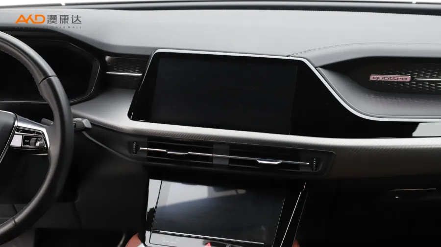 二手奥迪Q6 45TFSI quattro黑武士版 6座图片3946770