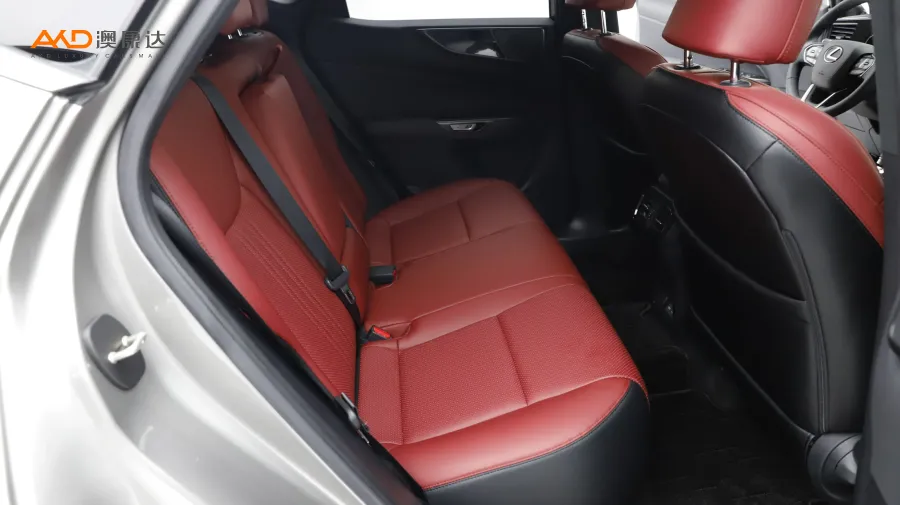 二手雷克萨斯 NX260 前驱创驰版图片3948045