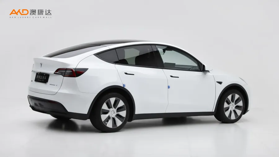 二手特斯拉Model Y 长续航全轮驱动版图片3951176