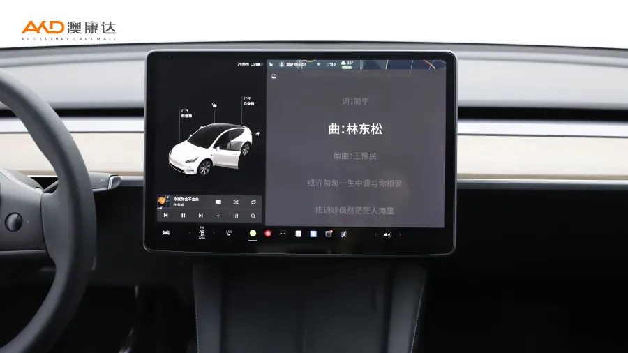 二手特斯拉Model Y 长续航全轮驱动版图片3951192