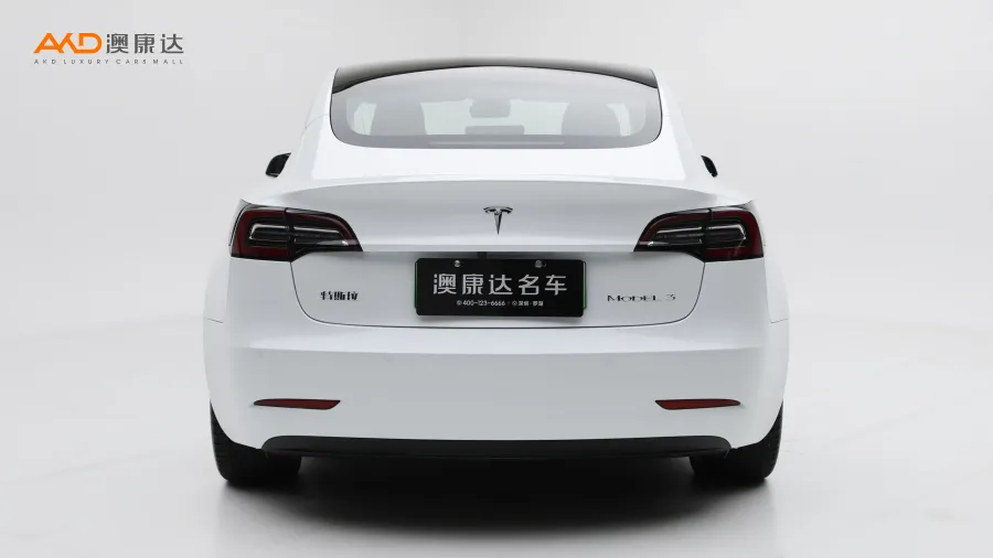 二手特斯拉Model 3 标准续航后轮驱动升级版图片3954341