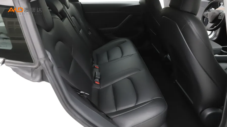 二手特斯拉Model 3 标准续航后轮驱动升级版图片3954356
