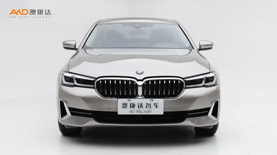 二手宝马530Li  改款 领先型 豪华套装图片3960587