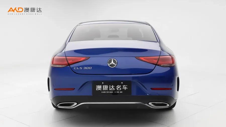 二手奔驰CLS300 动感型图片3964386