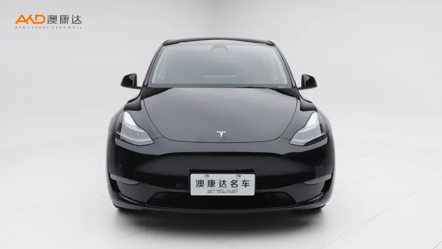二手特斯拉Model Y 改款 长续航全轮驱动版图片3976451