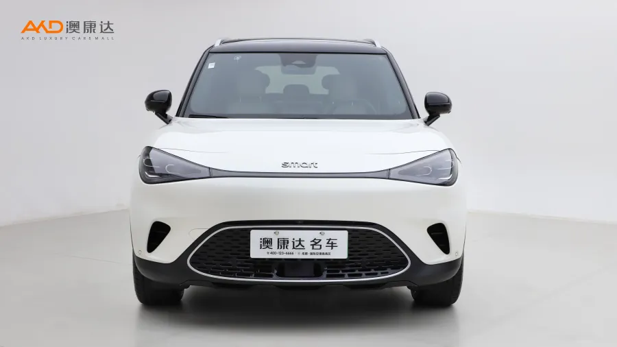 二手Smart精灵#1 Premium版图片3979805