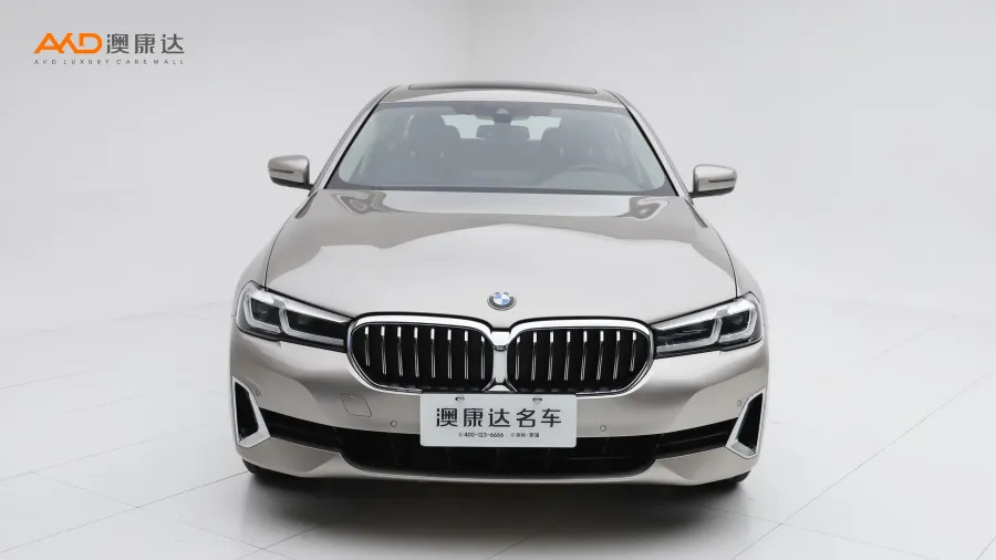 二手宝马530Li 改款 领先型 豪华套装图片3984271