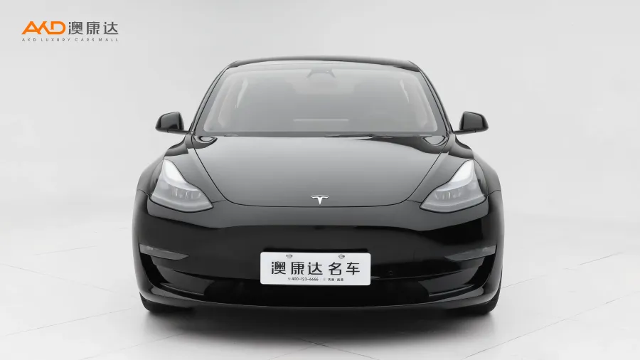 二手特斯拉Model 3 Performance高性能全轮驱动版图片3986977