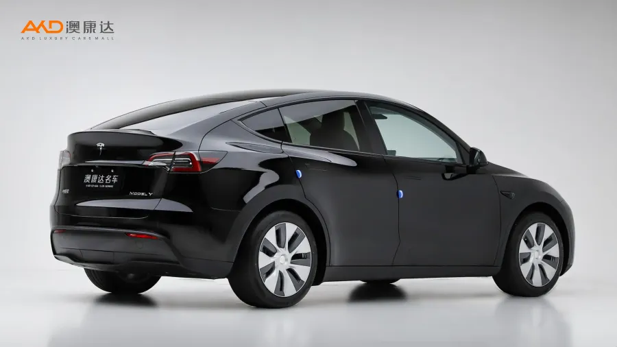 二手特斯拉Model Y 标准续航后驱版图片3995693