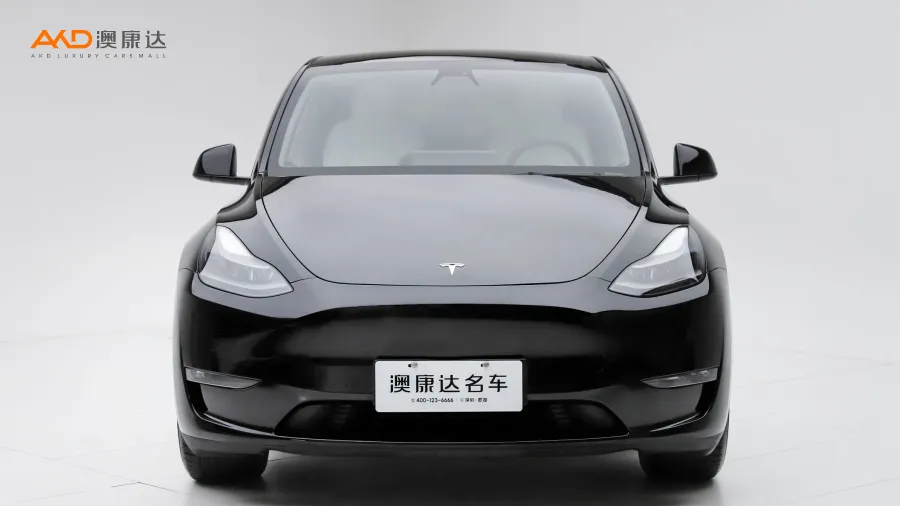 二手特斯拉Model Y 标准续航后驱版图片3995689