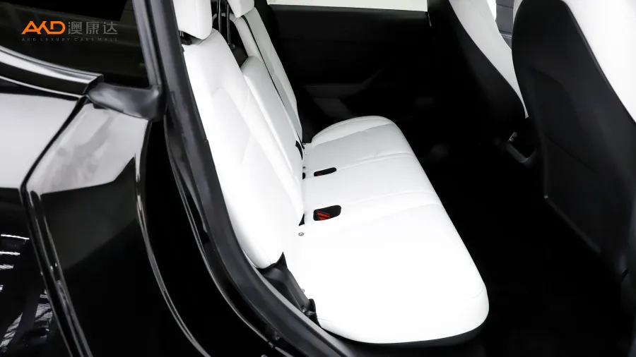 二手特斯拉Model Y 标准续航后驱版图片3995710