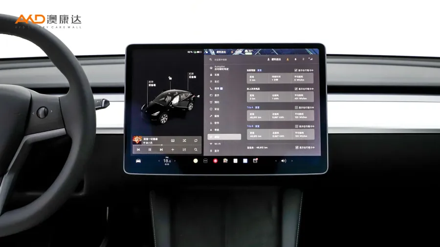 二手特斯拉Model Y 标准续航后驱版图片3995708