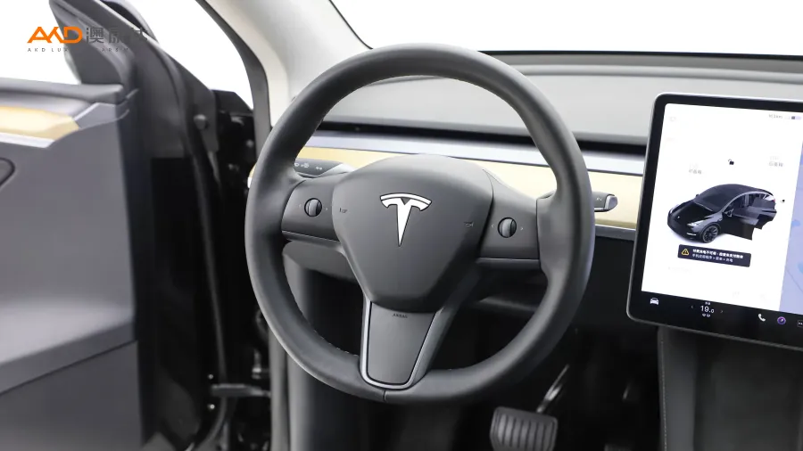 二手特斯拉Model Y 标准续航后驱版图片4012157