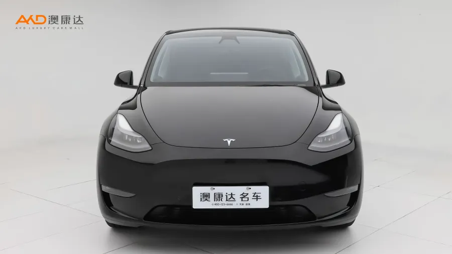 二手特斯拉Model Y 标准续航后驱版图片4012140