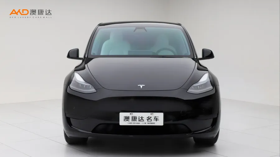 二手特斯拉Model Y 后轮驱动版图片4017085
