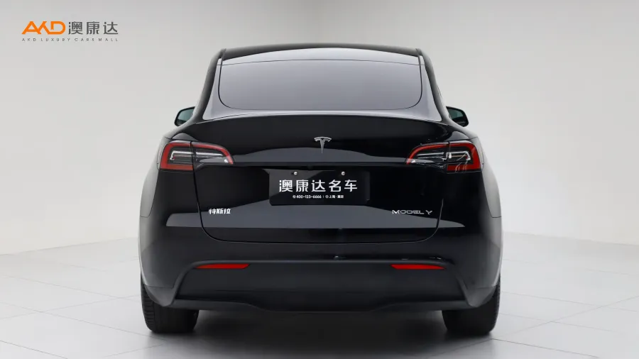 二手特斯拉Model Y 标准续航后驱版图片4025383