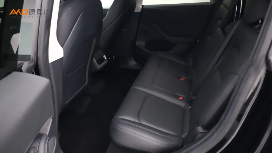 二手特斯拉Model Y 标准续航后驱版图片4025392