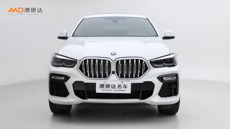 二手宝马X6 xDrive30i M运动套装图片4032864