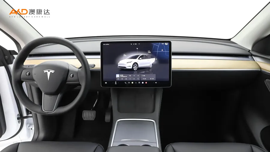 二手特斯拉Model Y 长续航全轮驱动版图片4037328