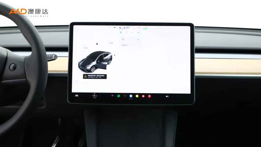 二手特斯拉Model Y 标准续航后驱版图片4044007